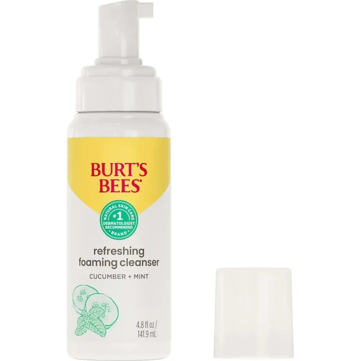Burts Bees Gentle Foaming Cleanser